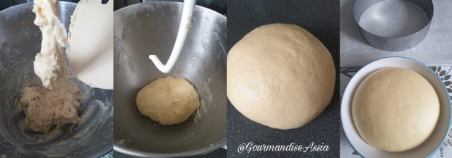 Gâteau Autrichien aux Abricots