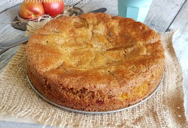 Tarte Moelleuse aux Nectarines ou Brugnons