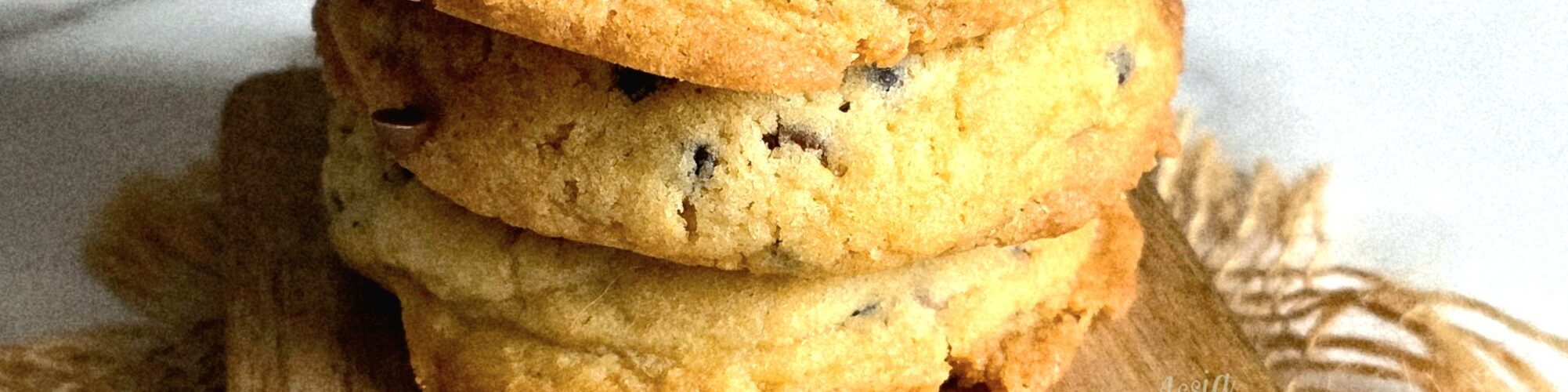 Meilleurs Cookies au Monde