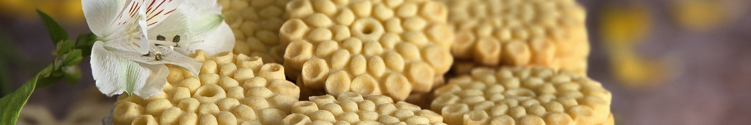 Sablé à la Poudre Pâtissière {Modèle 2}